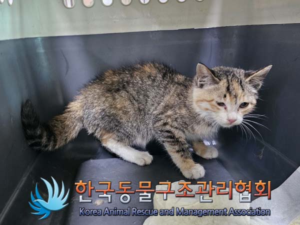 종료(자연사) 한국…